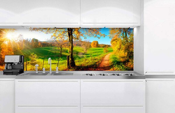 DIMEX | Fototapeta do kuchyne Lúka KI-180-083 | 180 x 60 cm | zelená, modrá, červená, žltá