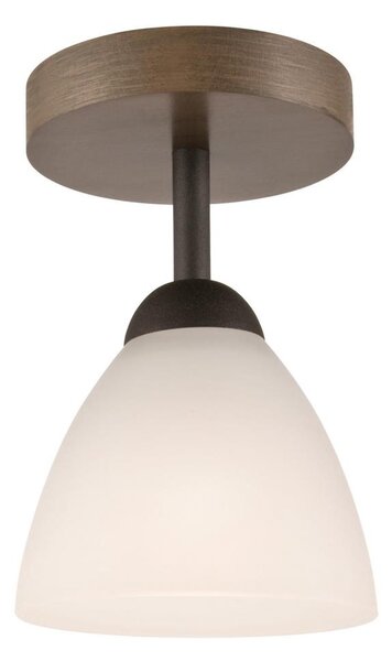 Prisadený luster ADRIANO 1xE27/60W/230V
