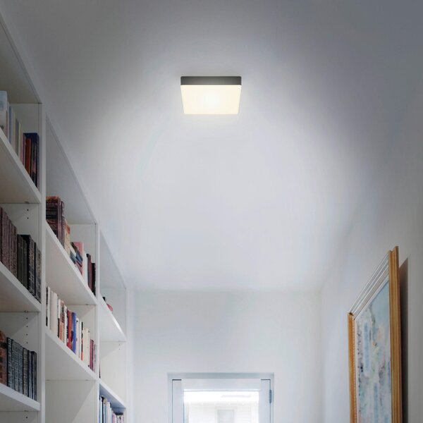 STROPNÉ LED SVIETIDLO, 15,7/15,7/3,6 cm - Interiérové svietidlá