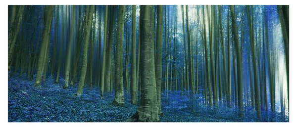 Obraz - Modrý les (120x50 cm)