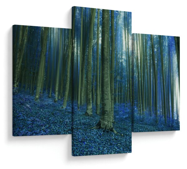 Obraz - Modrý les (90x60 cm)