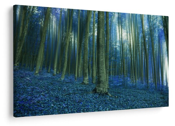 Obraz - Modrý les (90x60 cm)