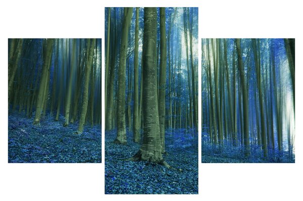 Obraz - Modrý les (90x60 cm)
