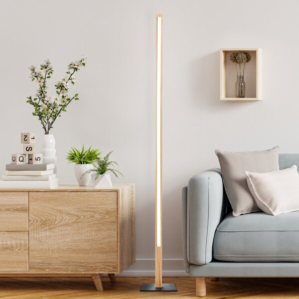 Brilliant - LED stojacia lampa ARION LED/14W/230V borovica