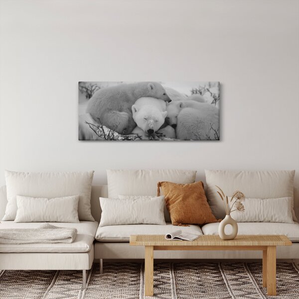 Obraz - Ľadové medvedíky, čiernobiela (120x50 cm)