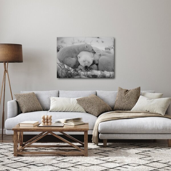 Obraz - Ľadové medvedíky, čiernobiela (70x50 cm)