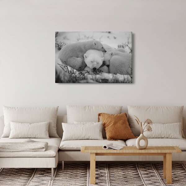 Obraz - Ľadové medvedíky, čiernobiela (90x60 cm)