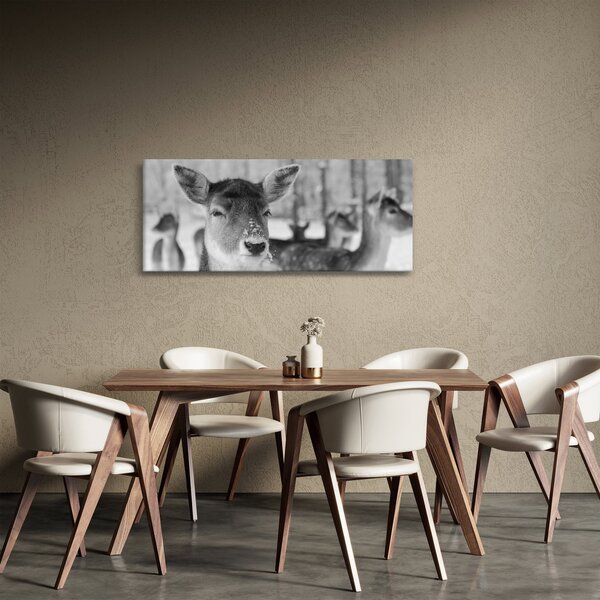 Obraz - Jelenča, čiernobiela (120x50 cm)