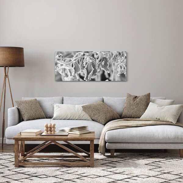 Obraz - Zmrznuté listy, čiernobiela (120x50 cm)