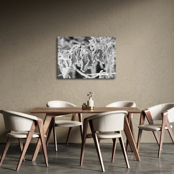 Obraz - Zmrznuté listy, čiernobiela (70x50 cm)