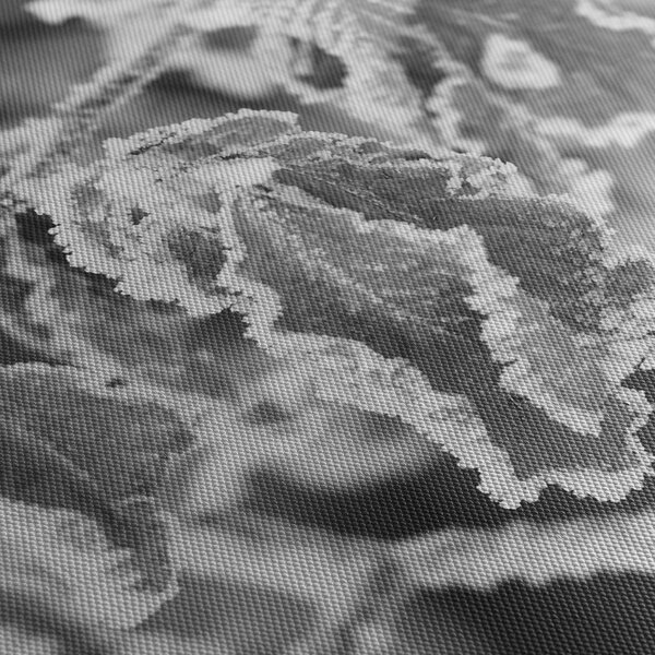 Obraz - Zmrznuté listy, čiernobiela (120x50 cm)