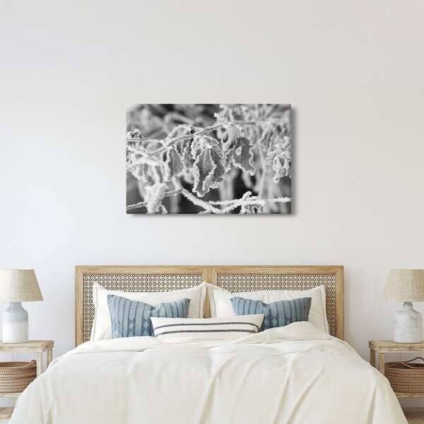 Obraz - Zmrznuté listy, čiernobiela (90x60 cm)