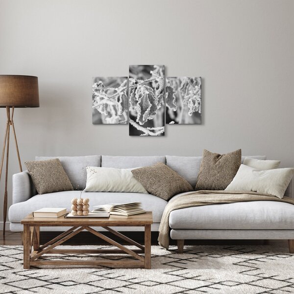 Obraz - Zmrznuté listy, čiernobiela (90x60 cm)