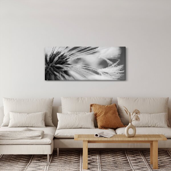 Obraz - Makro, čiernobiela (120x50 cm)