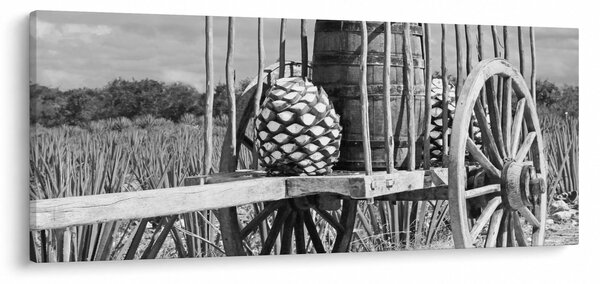 Obraz - Prívesný vozík, čiernobiela (120x50 cm)