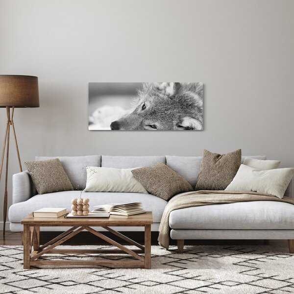 Obraz - Vlk, čiernobiela (120x50 cm)