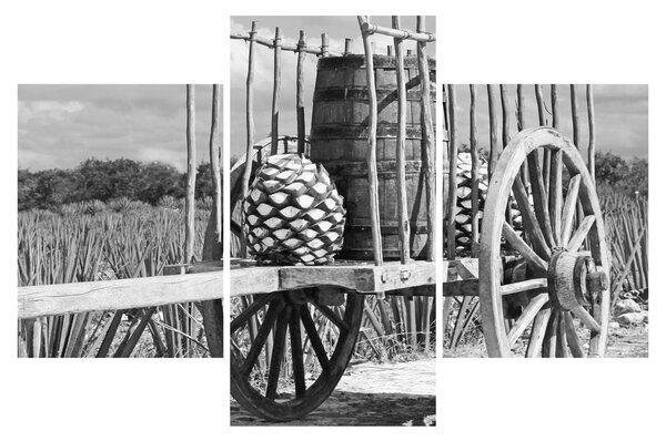 Obraz - Prívesný vozík, čiernobiela (90x60 cm)