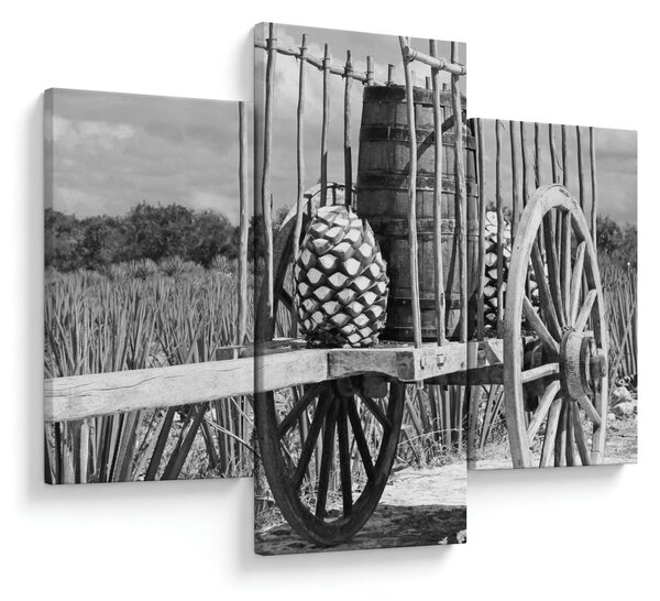 Obraz - Prívesný vozík, čiernobiela (90x60 cm)