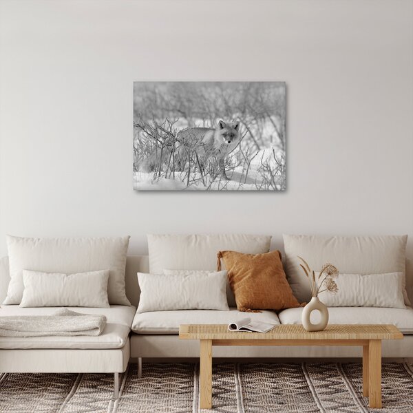 Obraz - Lišiak, čiernobiela (70x50 cm)