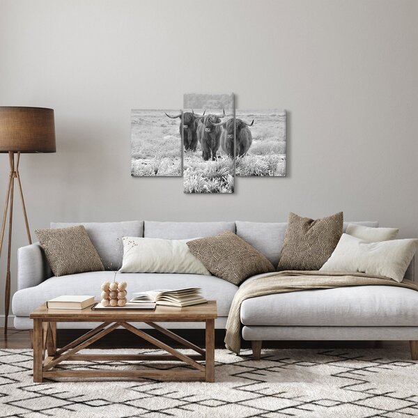 Obraz - Škótske kravy, čiernobiela (90x60 cm)