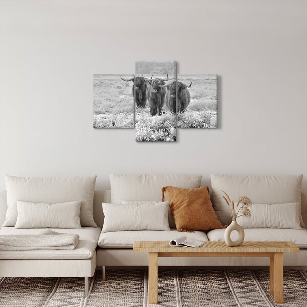 Obraz - Škótske kravy, čiernobiela (90x60 cm)