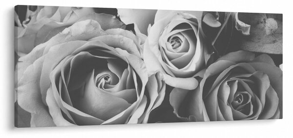 Obraz - Ruža, čiernobiela (120x50 cm)