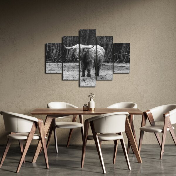 Obraz - Škótska krava 3, čiernobiela (150x105 cm)