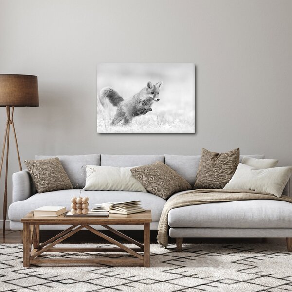 Obraz - Skákajúca líška, čiernobiela (70x50 cm)