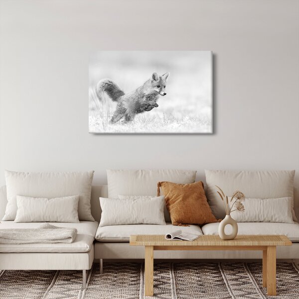 Obraz - Skákajúca líška, čiernobiela (90x60 cm)