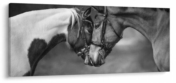 Obraz - Zamilované kone, čiernobiela (120x50 cm)