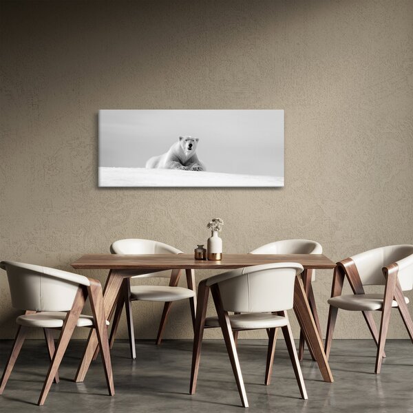 Obraz - Ľadový medveď, čiernobiela (120x50 cm)