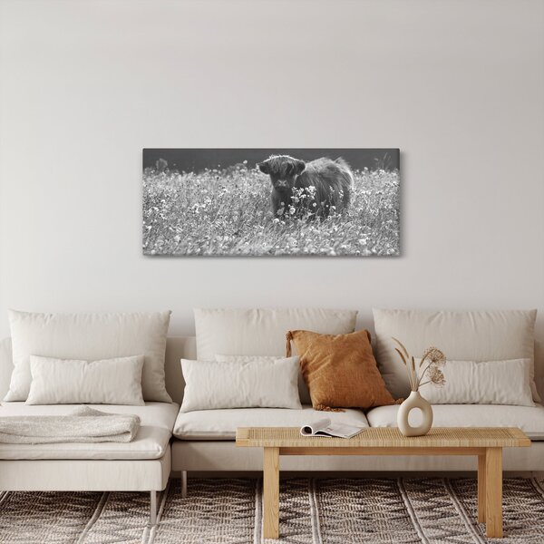 Obraz - Škótska krava 5, čiernobiela (120x50 cm)