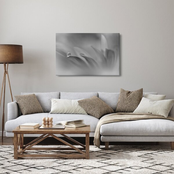 Obraz - Kvapka na kvete, čiernobiela (90x60 cm)