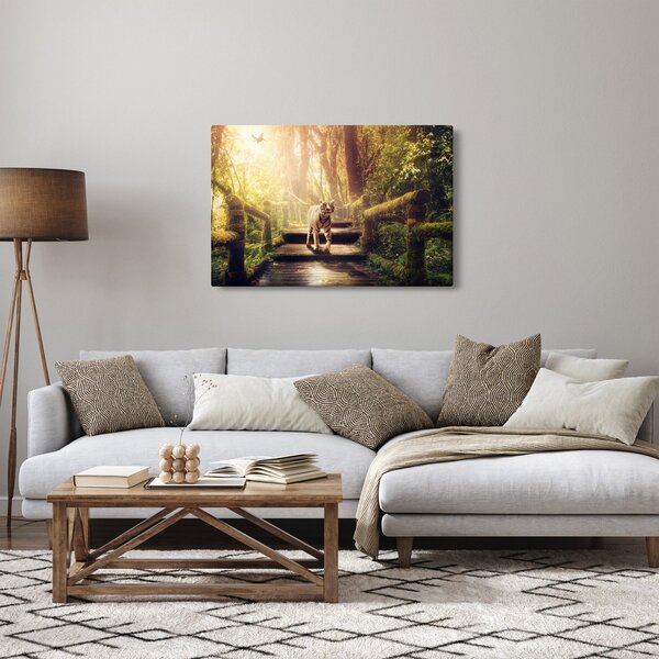 Obraz tigra (90x60 cm)
