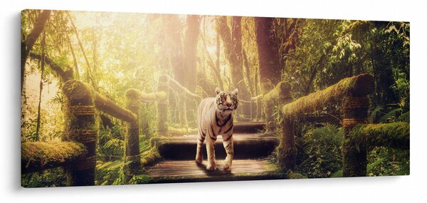 Obraz tigra (120x50 cm)