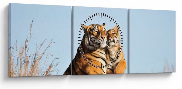 Obraz - Tigrice a jej mláďa (s hodinami) (90x30 cm)