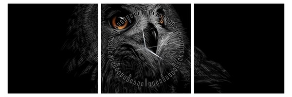 Obraz - Sova, ilustrácie (s hodinami) (90x30 cm)