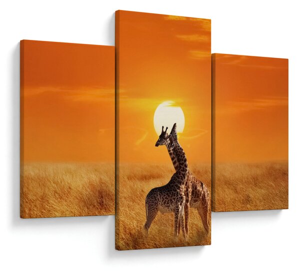 Obraz - Žirafy v národnom parku Serengeti (90x60 cm)