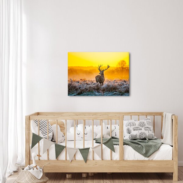 Obraz - Jeleň pri východe slnka (70x50 cm)