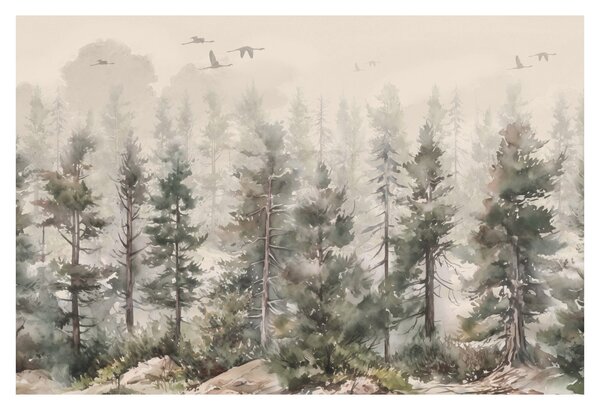Obraz - Borovicový les I., aquarel (90x60 cm)
