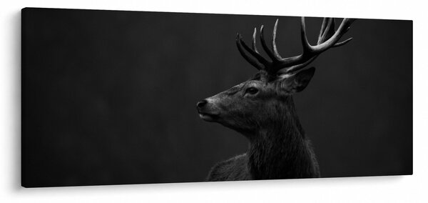 Obraz - Portrét jeleňa (120x50 cm)