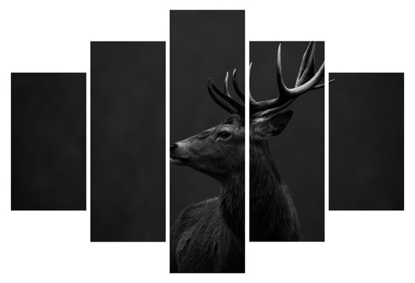Obraz - Portrét jeleňa (150x105 cm)