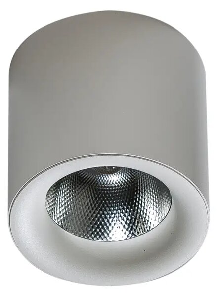 LED bodové svetlo Mane 30W Dimm biele