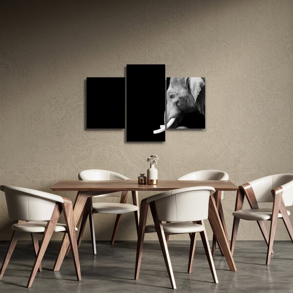 Obraz - Slon (90x60 cm)