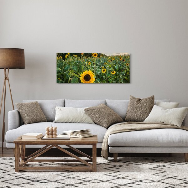 Obraz - Slnečnicové pole II. (120x50 cm)