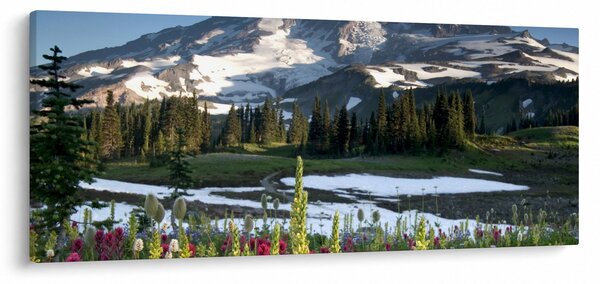 Obraz - Mount Rainier (120x50 cm)