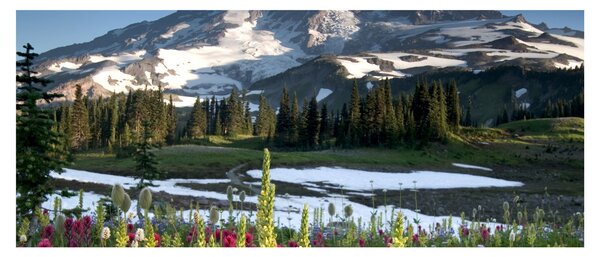Obraz - Mount Rainier (120x50 cm)
