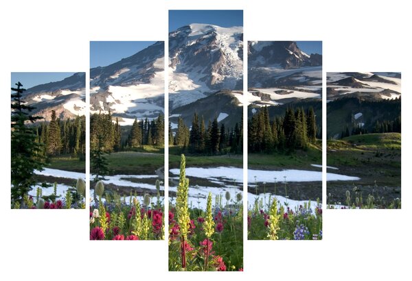 Obraz - Mount Rainier (150x105 cm)