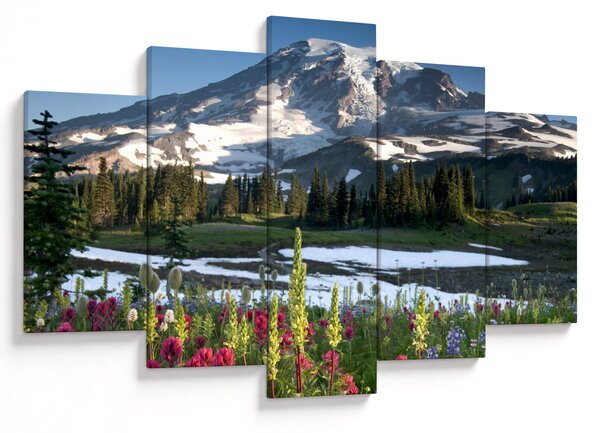 Obraz - Mount Rainier (150x105 cm)