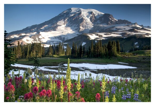 Obraz - Mount Rainier (90x60 cm)